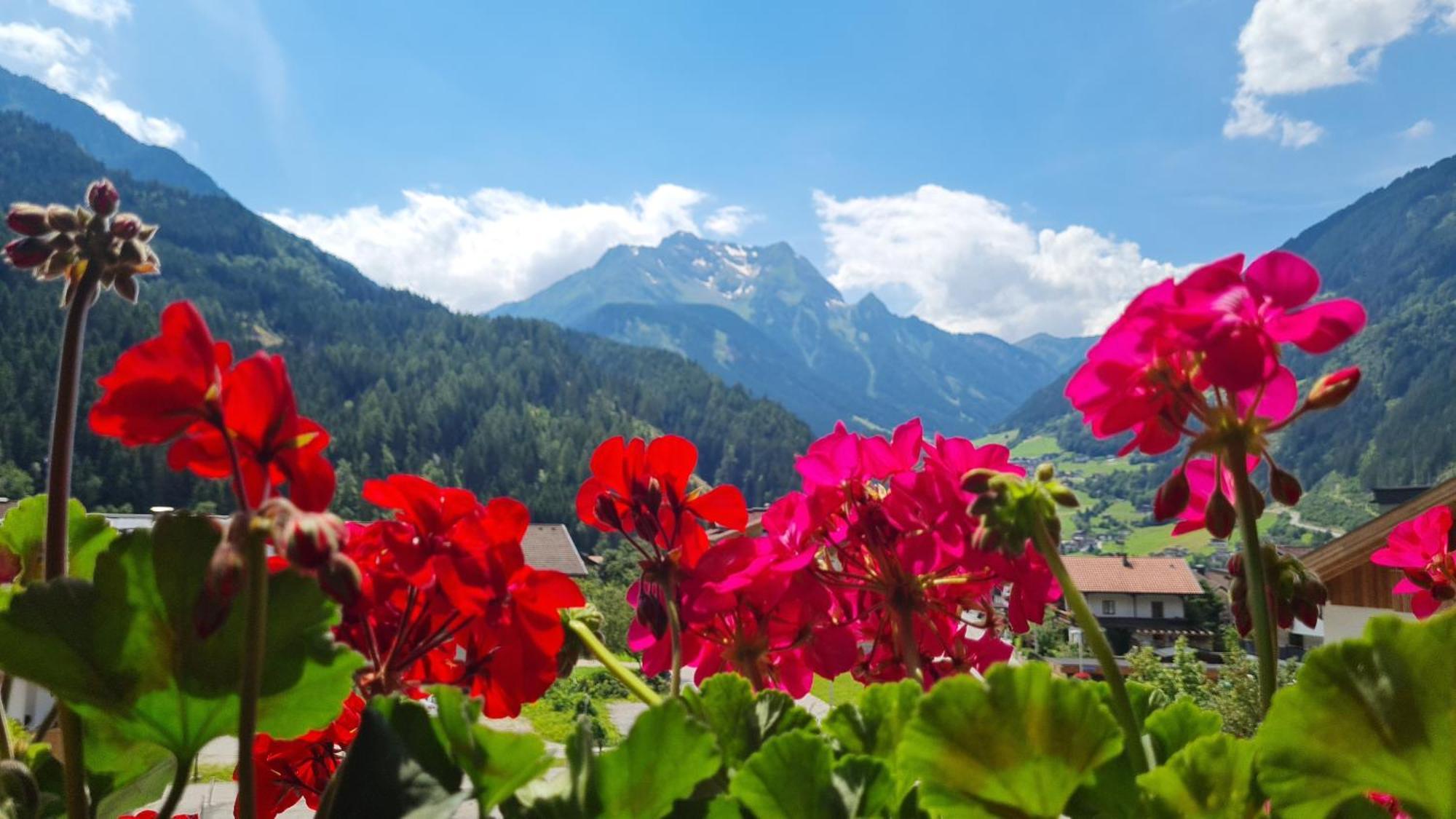 Scheulinghof Hotel Mayrhofen Luaran gambar
